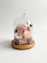 Carnation Bell Jar - Pink Peaches - Flowers - Preserved Flowers & Fresh Flower Florist Gift Store