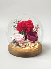 Carnation Blowball - Red - Flowers - Preserved Flowers & Fresh Flower Florist Gift Store