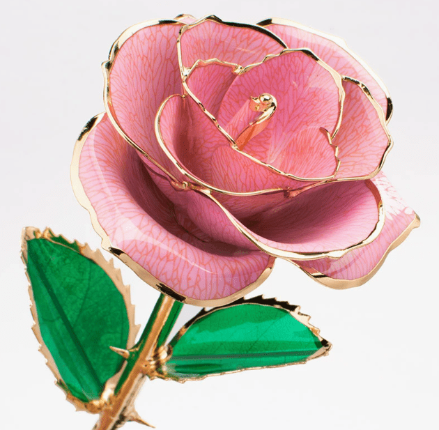 Eternal Preserved Rose Bloom - Real Rose Preserved - Eternal Love Series - Flowers - Pink - Preserved Flowers & Fresh Flower Florist Gift Store