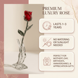 Eternal Rose - Roses That Last Forever - Flowers - Red - Preserved Flowers & Fresh Flower Florist Gift Store