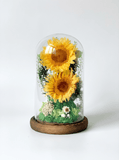 Sunflower Dome - Sunni Duet - Large Dome - Flowers - Preserved Flowers & Fresh Flower Florist Gift Store