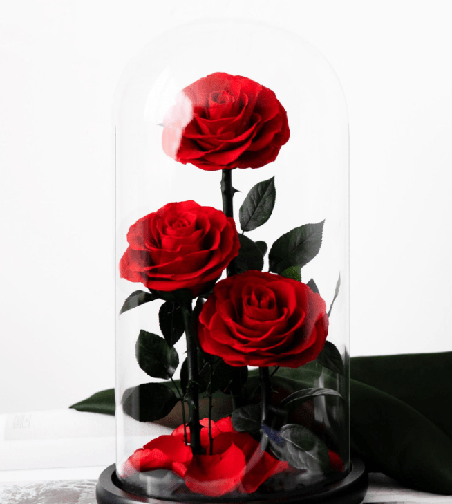 3 Rose - Single Preserved Rose - Preserved Flower Dome - Flowers - red - Preserved Flowers & Fresh Flower Florist Gift Store