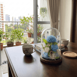 Carnation Bell Dome - Tiffany Blue - Flowers - Preserved Flowers & Fresh Flower Florist Gift Store