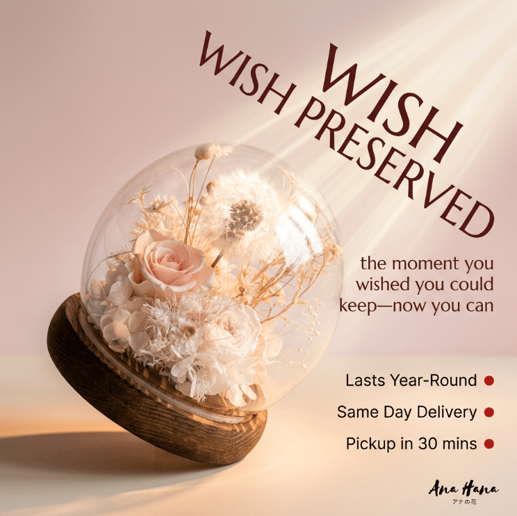 Dandelion Daphne Blowball - Flowers - Champagne - Preserved Flowers & Fresh Flower Florist Gift Store