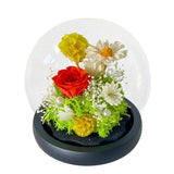 Erika- Orange - Flower - Preserved Flowers & Fresh Flower Florist Gift Store