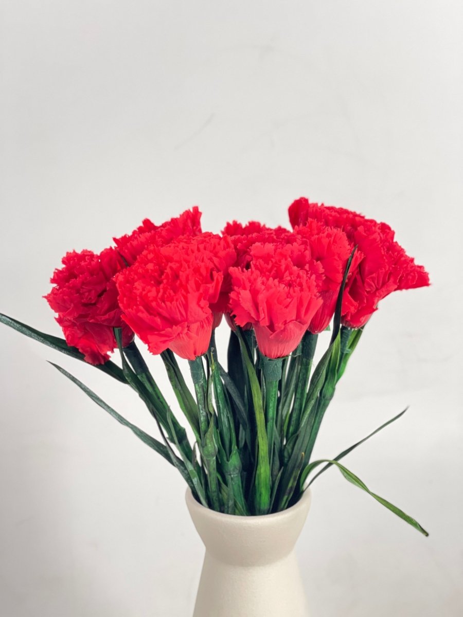 Everlasting Carnation - Flowers - 12 Carnation - Preserved Flowers & Fresh Flower Florist Gift Store