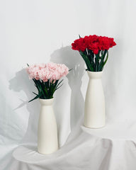 Everlasting Carnation - Flowers - 12 Carnation - Preserved Flowers & Fresh Flower Florist Gift Store