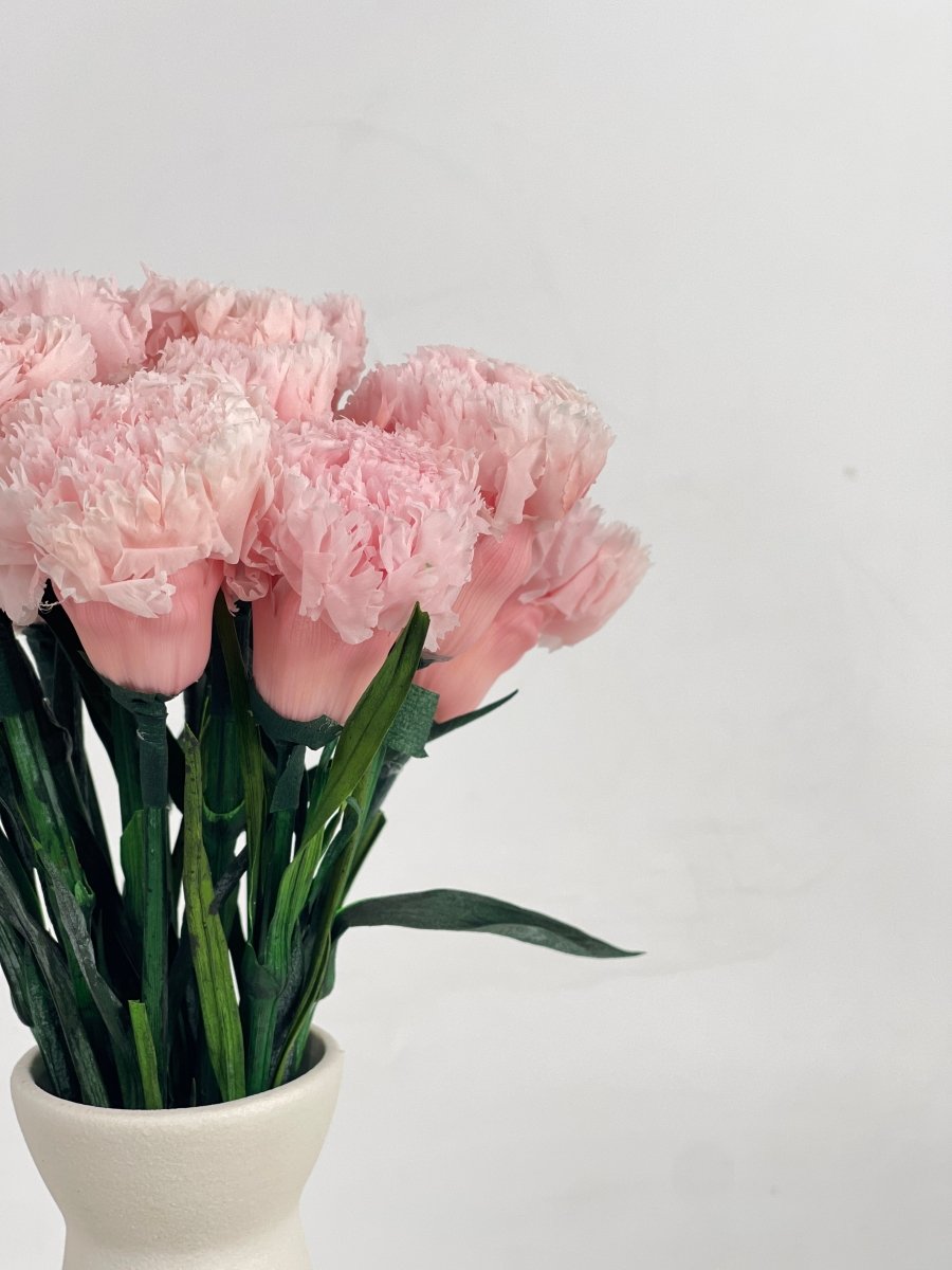 Everlasting Carnation - Flowers - 12 Carnation - Preserved Flowers & Fresh Flower Florist Gift Store