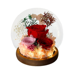 Hatsukoi - Red - Flower - Preserved Flowers & Fresh Flower Florist Gift Store