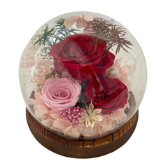 Hatsukoi - Red - Flower - Preserved Flowers & Fresh Flower Florist Gift Store