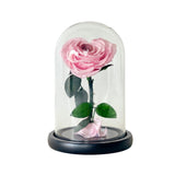 Heart-shaped Blush Rosie - Flower - Preserved Flowers & Fresh Flower Florist Gift Store