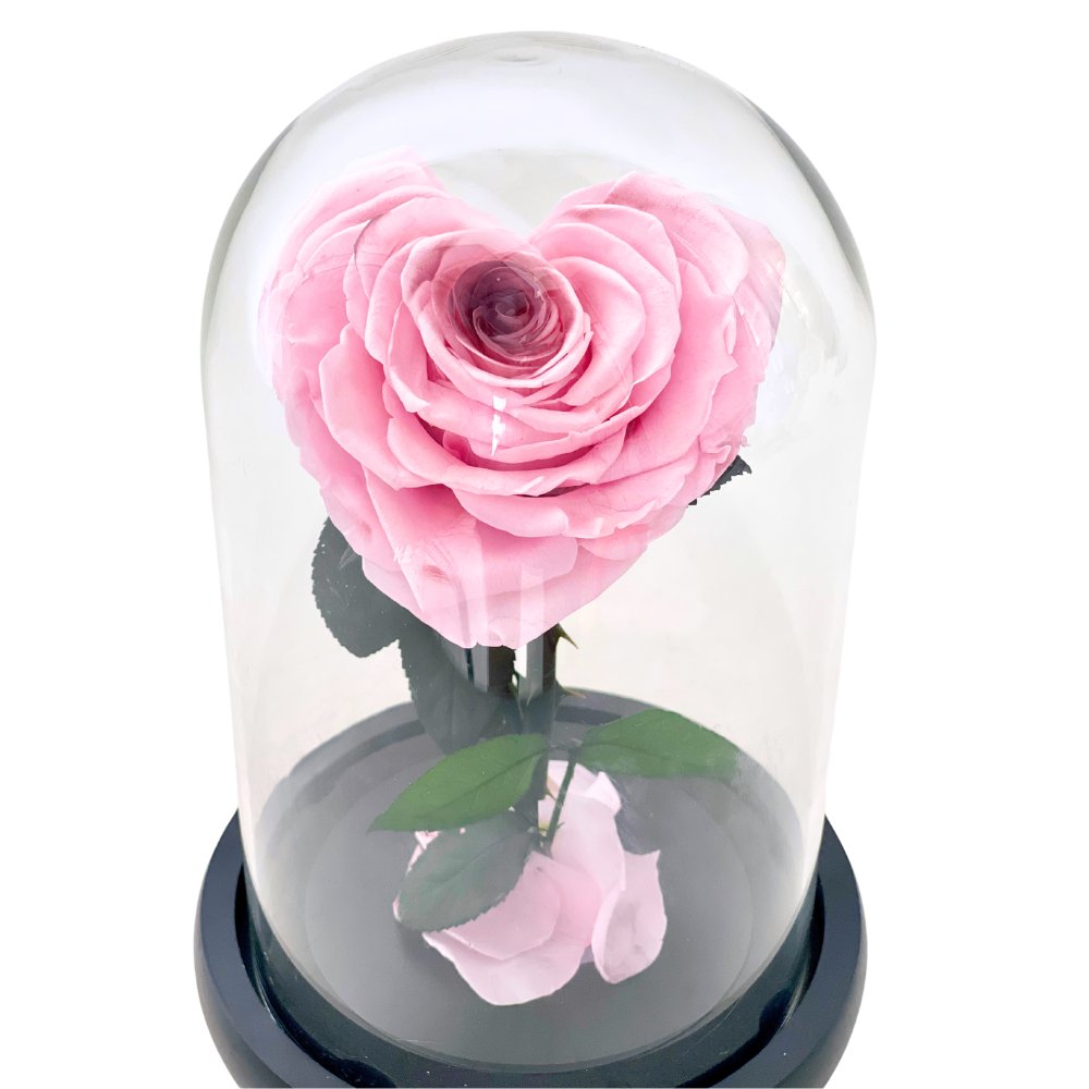Heart-shaped Blush Rosie - Flower - Preserved Flowers & Fresh Flower Florist Gift Store