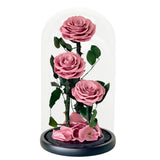 Rosie Pink - Flower - Preserved Flowers & Fresh Flower Florist Gift Store