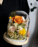 Sora Preserved Flower Dome - Flowers - Amber - Preserved Flowers & Fresh Flower Florist Gift Store