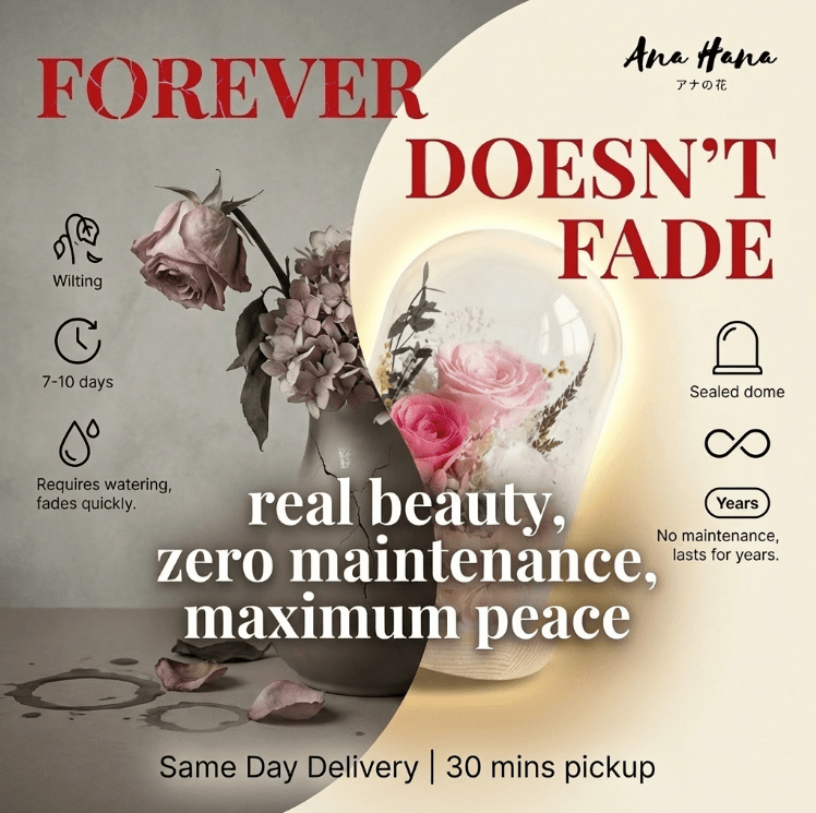 Sora Preserved Flower Dome - Flowers - Cherry Pink - Preserved Flowers & Fresh Flower Florist Gift Store