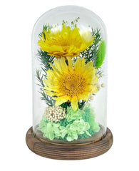 Sunflower Dome - Sunni Duet - Large Dome with box - Flowers - Preserved Flowers & Fresh Flower Florist Gift Store