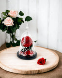 Beauty and the Beast Enchanted Rose Glass Dome - Flower - Preserved Flowers & Fresh Flower Florist Gift Store