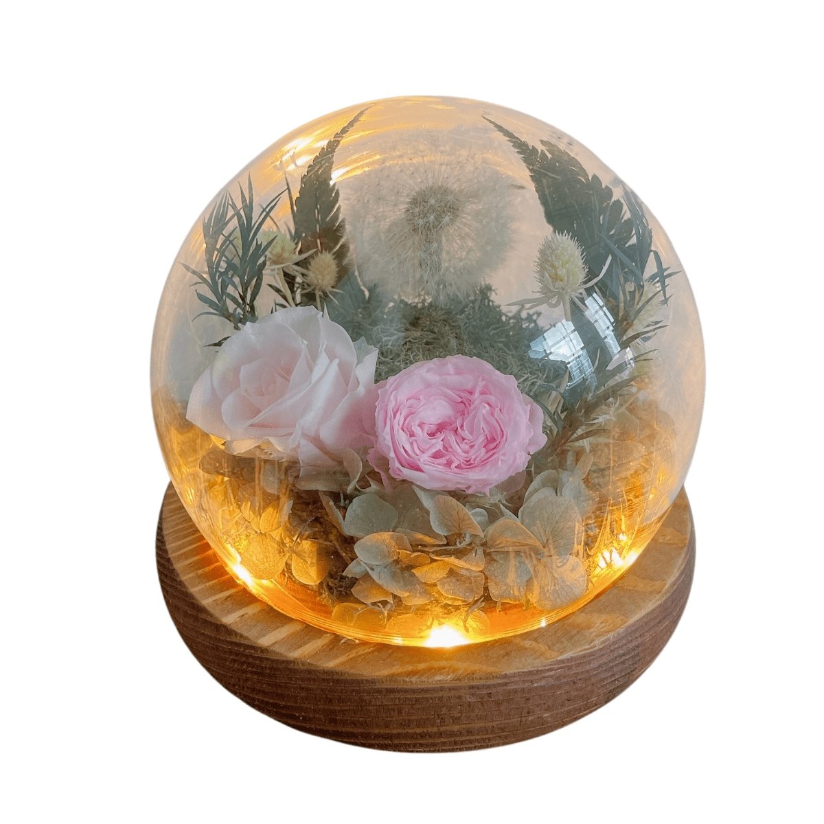 Dandelion Blowball Preserved Flower Dome - Pink - Flower - Preserved Flowers & Fresh Flower Florist Gift Store