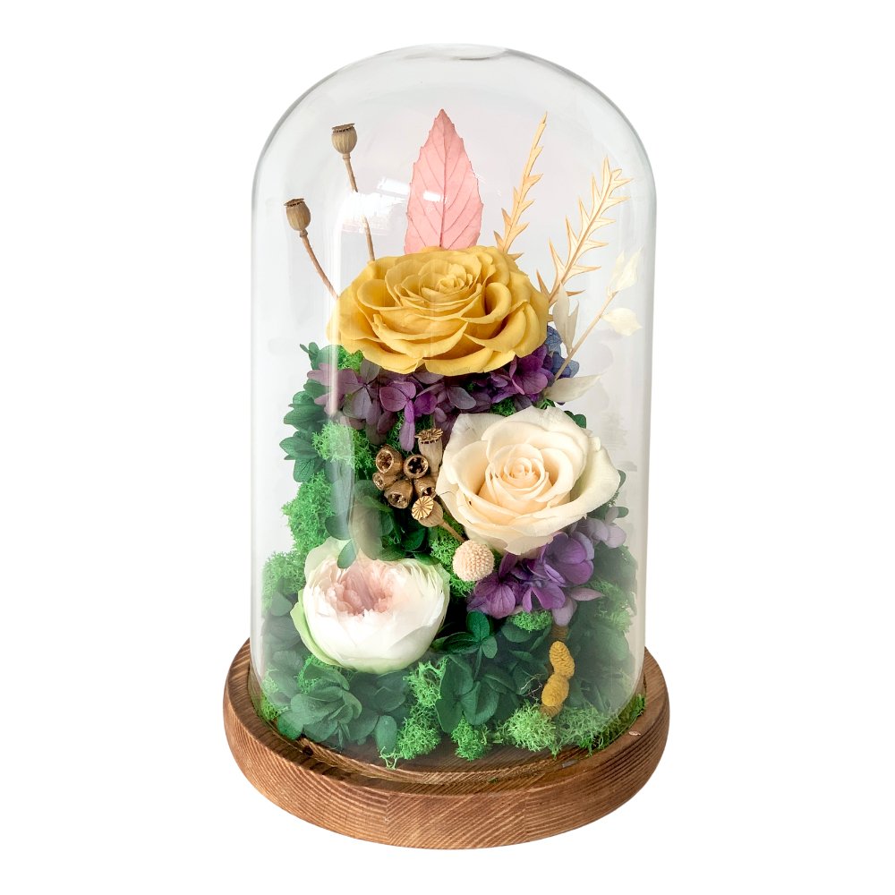 Hazel Roses (large dome with gift box) - Flower - Amber Yellow - Preserved Flowers & Fresh Flower Florist Gift Store