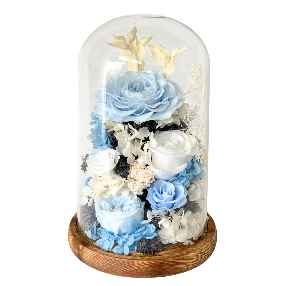 Hazel Roses (large dome with gift box) - Flower - Aqua Blue - Preserved Flowers & Fresh Flower Florist Gift Store