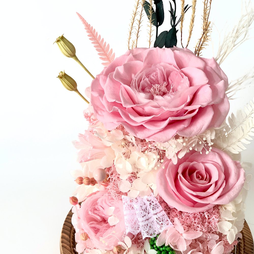 Hazel Roses (large dome with gift box) - Flower - Blush Pink - Preserved Flowers & Fresh Flower Florist Gift Store