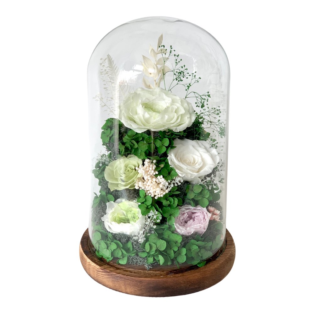 Hazel Roses (large dome with gift box) - Flower - Viridian Green - Preserved Flowers & Fresh Flower Florist Gift Store