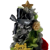 Jolly Christmas Tree Dome - - Preserved Flowers & Fresh Flower Florist Gift Store