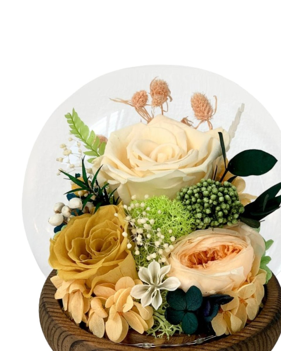 Rose Blowball - Champagne (with gift box) - Flower - Preserved Flowers & Fresh Flower Florist Gift Store