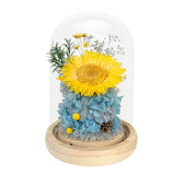Sunflower Dome - Sunni Blue - Flowers - Preserved Flowers & Fresh Flower Florist Gift Store
