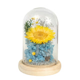 Sunflower Dome - Sunni Blue - Flowers - Preserved Flowers & Fresh Flower Florist Gift Store
